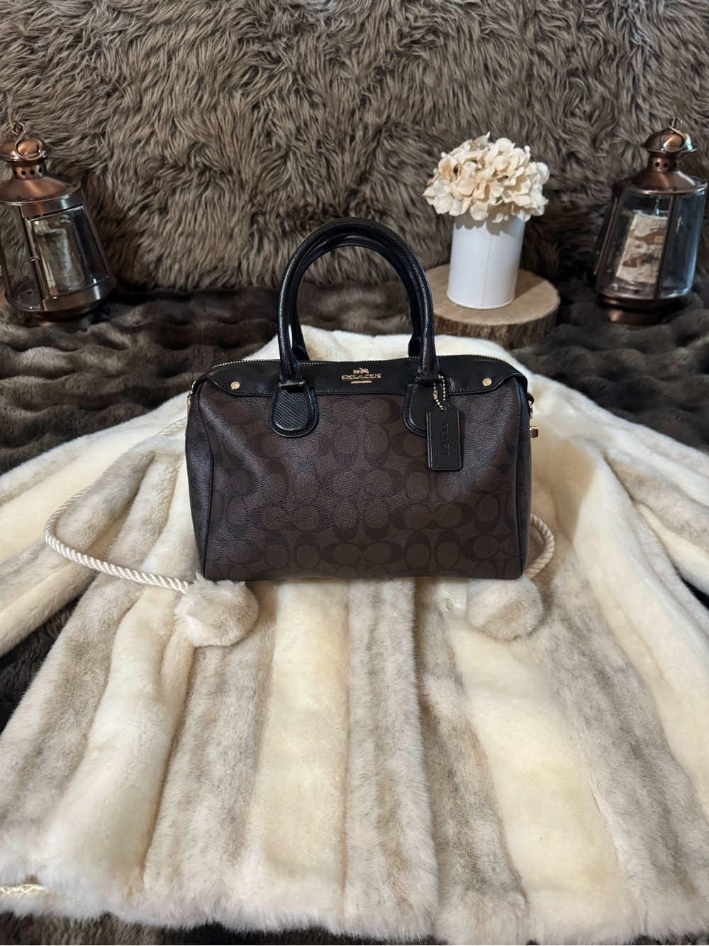 Coach Brown & Black Signature Dome Satchel